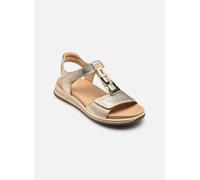 Ara OSAKA-S 12-34804 39 Oro y bronce