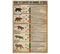 Ara Step Retro Knowledge Art Poster Prints 1 (How To Survive An Animal Attack Camping, Art Prints Poster Decoración del hogar, 297 x 420 mm / 11,7 x 16,5 pulgadas)