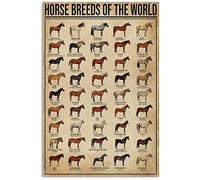 Ara Step Retro Knowledge Art - Póster (todas las razas de caballos, 297 x 420 mm, 11,7 x 16,5 pulgadas)