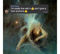 Arab Strap - I'M Totally Fine With It Don'T Give a Fuck Anymore