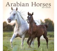 Arabian Horses 2027 Calendar | Square Wall Calendar | Animal Gift | Plastic Free Packaging | by Avonside Publishing