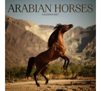 Arabian Horses Calendar 2027