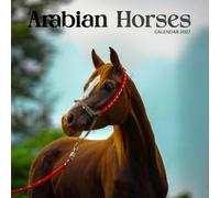 Arabian Horses Calendar 2027: Arched Necks and Desert Trails