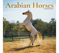 Arabian Horses Calendar 2027: Desert Horses and Stable Life