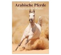 Arabische Pferde ¿ Geschöpfe des Windes (Wandkalender 2026 DIN A2 hoch), CALVENDO Monatskalender: Die edlen Pferde der arabischen Wüste