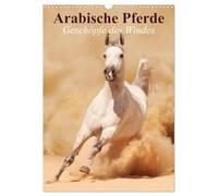 Arabische Pferde ¿ Geschöpfe des Windes (Wandkalender 2026 DIN A3 hoch), CALVENDO Monatskalender: Die edlen Pferde der arabischen Wüste