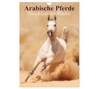 Arabische Pferde ¿ Geschöpfe des Windes (Wandkalender 2026 DIN A4 hoch), CALVENDO Monatskalender: Die edlen Pferde der arabischen Wüste