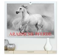 Arabische Pferde (hochwertiger Premium Wandkalender 2026 DIN A2 quer), Kunstdruck in Hochglanz: Die edlen Pferde des Orients