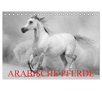 Arabische Pferde (Tischkalender 2026 DIN A5 quer), CALVENDO Monatskalender: Die edlen Pferde des Orients