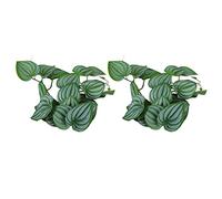 Aramox 2 Plantas Artificiales de Reptiles con Ventosas, Enredadera Colgante Artificial de Plástico Especial, Hojas de Plástico Realistas para Peceras, Terrarios, Decoración de Selva Tropical (Hojas