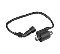 Aramox - Bobina de encendido para moto Bear Tracker 250 ATV 1999 2000 2001 2002 2002 2003 2004 (Negro)