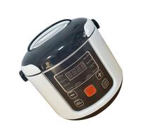 Aramox Mini Olla Arrocera de Metal, Olla Arrocera Portátil de 2 Litros con Control Táctil para Mantener Caliente, Interior Antiadherente para 2 a 4 Personas, para Viajes, Camping, RV, Camión, Uso de