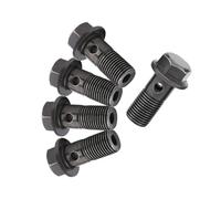 Aramox Perno de Freno de Motocicleta, Material de Hierro, Diseño sin óxido, M10 X 1.25 Mm y M10 X 1.0 Mm para Pinza de Freno y Cilindro Maestro de Embrague (M10 × 1 mm)
