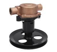 Aramox RA057007 Bomba Impulsora de Agua de Mar Cruda Aleación de Metal de Latón Reemplazo de Salida de Entrada de 1 Pulgada para Sherwood G20 G21 302 351