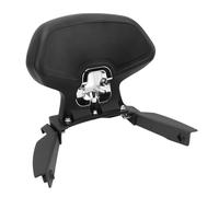 Aramox Respaldo del Asiento del Pasajero de Motocicleta, Almohadilla Trasera Impermeable y a Prueba de Sol para NSS350 ADV350 con Soporte de Aleación de aluminio.