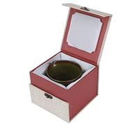 Aramox Taza de té de Cerámica, Taza de té Dividida Uniformemente con Boquilla Estilo águila, Acabado Texturizado, Uso en Lavavajillas y Microondas, para Regalo de Colección de Exhibición de (espuma