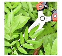 Aramox Tijeras de Podar de Jardín Tijeras de Podar de Acero Inoxidable Paquete de 2 Hojas Rectas y Curvas de 8,1 X 1,8 Pulgadas y 7, X, Pulgadas Mangos Antideslizantes para árboles Rosas Bonsai Uso