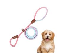 Araña de mascotas para perros, correa de entrenamiento para cachorros fabricada en Nylon, Cuerda a prueba de escape para actividades al aire con sus perros para razas pequeñas y medianas y