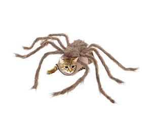 Araña para perros, disfraces de Halloween para perros, araña, disfraz de araña gigante peluda para perros y gatos, accesorios de vestir, disfraz ajustable de Halloween para mascotas, disfraz de