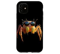 Araña Regal Araña Saltadora Tarántula Aracnófila Arácnidos Carcasa para iPhone 11