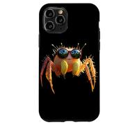 Araña Regal Araña Saltadora Tarántula Aracnófila Arácnidos Carcasa para iPhone 11 Pro