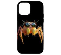 Araña Regal Araña Saltadora Tarántula Aracnófila Arácnidos Carcasa para iPhone 12 mini