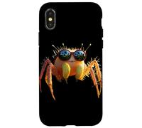 Araña Regal Araña Saltadora Tarántula Aracnófila Arácnidos Carcasa para iPhone X/XS