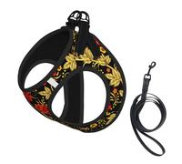 Arándano Tradicional Ruso,Arnés para Mascotas, arnés Reflectante Ajustable para Perros,M
