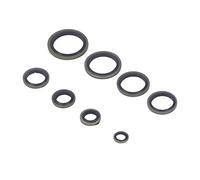 Arandela de Sello de Aceite - Material de Metal y Caucho - 110 Piezas Arandela de Aceite de Sello Unida con Caucho - Buen Sellado para Juntas de Tuberías y Tapones Roscados -