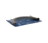 KS kolbenschmidt 79 307 600 Assembly Juego de