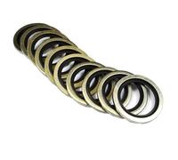 Arandelas Dowty con sellos adheridos resistentes al aceite, combustible, gasolina/agua, 1 pulgada BSP (paquete de 2)
