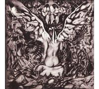 ARBATEL - Storm Damage