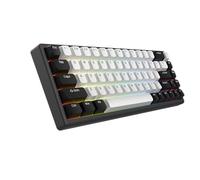 ARBITER Polar 65 - Teclado mecánico CNC para juegos - Interruptores magnéticos de efecto salón, marco de aluminio CNC, disparador rápido, 65% compacto, RGB brillante, teclas PBT de doble disparo -