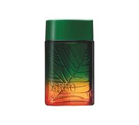Arbo Libert Eau de Toilette de O Boticario, perfume de larga duraci n para hombre, fragancia fresca de c tricos y verdes, 100 ml