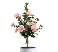 Árbol Artificial,Camelia Realista con Estacas para Suelo,Plantas para Porche Delantero y Árbol Artificial | Exteriores Jardín Patio Porche Hogar Oficina Mujeres Cumpleaños