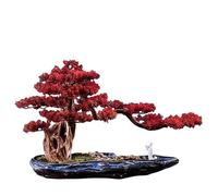 Árbol Artificial De Estilo Chino Para Decoración De Área De Oficina, Sala De Estar Creativa, Decoración De Rocalla De Cerámica, Decoración Para El Hogar, Entrada De Hotel, Gabinete, Árbol Falso En Ma