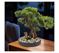 Árbol bonsái artificial de 17.7 pulgadas, decoración realista de pino de escritorio, no requiere poda, decoración perfecta para el hogar y la oficina, planta falsa de bajo mantenimiento