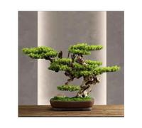 Árbol bonsái Artificial de Hoja perenne con rocalla y Musgo, Pino simulado de Larga duración para exhibición de Escritorio, árbol Artificial