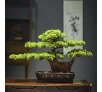 Árbol bonsái artificial de pino de imitación para jardín interior, oficina, decoración de escritorio, 65 cm de altura, 40 cm de ancho, perfecto para decoración moderna