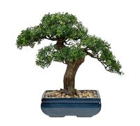 Árbol bonsái artificial grande - 41 cm Podocarpus verde en maceta de cerámica - Planta artificial de fácil cuidado para salón, oficina y decoración