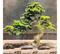 Árbol Bonsái Artificial Grande Y Realista - Planta De Podocarpus Artificial para Decoración De Interiores, Oficina En Casa, La Sala De Estar O como Acento Green 8ft 10in