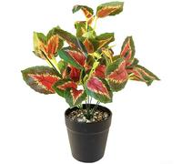 Árbol bonsái artificial, planta falsa de 7 puntas y 14 hojas con textura realista, vegetación sintética de bajo mantenimiento para decoración de interiores, oficina en casa, 28 x 22 cm (perilla)