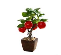 Árbol bonsái de frutas sintéticas, decoración para interiores de hogar y oficina con aspecto realista y diseño compacto para espacios pequeños (E)