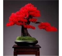 Árbol bonsái de simulación para decoración de interiores para escritorio y sala de estar