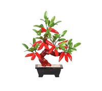Árbol bonsái Falso Artificial Bonsai Tree Jade Chili Living Room Home Decoration