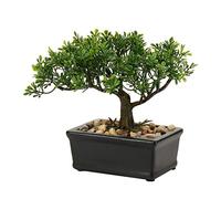 Árbol bonsái, Plantas Falsas de cerámica en Maceta, Cedro japonés Artificial, decoración para el hogar, Escritorio, Oficina, baño, Cocina, casa de Campo, Interior/Exterior (árbol bonsái #02)
