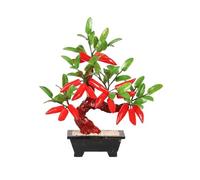 Árbol de bonsái Artificial, árbol Chile Jade, decoración del hogar for Sala Estar Oficina