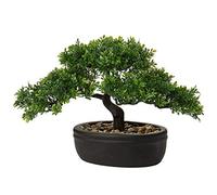 Árbol de bonsái artificial de 22.8 cm para decoración de bonsái japonesa, plantas artificiales de interior en maceta de pino sintético, árbol de bonsái, escritorio, decoración