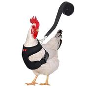 Árbol de cable de pollo y correa - resistente cuerda de senderismo para pollos | Cómodo arnés ligero para pollo ligero, manos libres ajustables para caminar pollo para patos pequeños animales