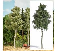 Árbol De Haya 170 Mm De Alto HO/OO Gauge BUSCH 3798